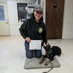 Dog Training Certificate